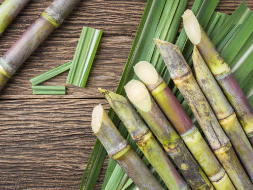 Fresh Sugarcane