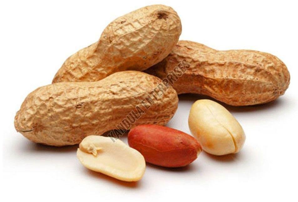 Groundnut